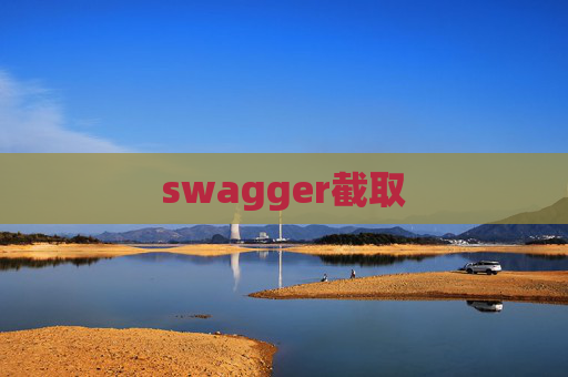 swagger截取